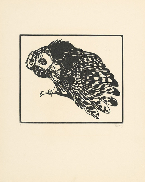 Norbertine von Bresslern-Roth – Sova 