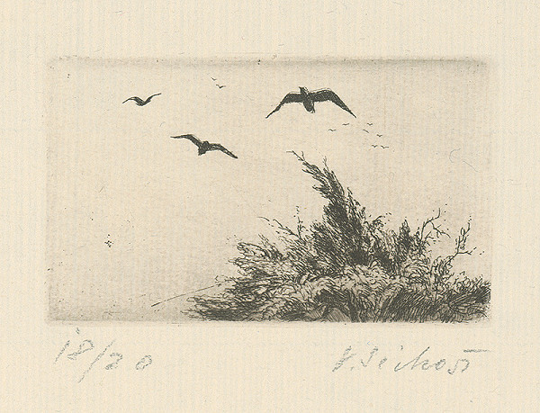 Václav Sivko – Vtáci odlietajú 