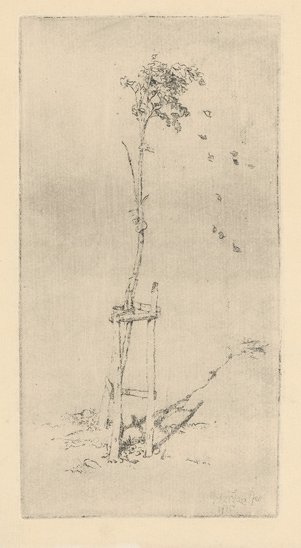 Jaroslav Vodrážka – Útly stromček 