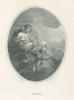 Franz Stöber, Johann Nepomuk Ender – Venuša 