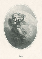 Franz Stöber, Johann Nepomuk Ender – Iris 