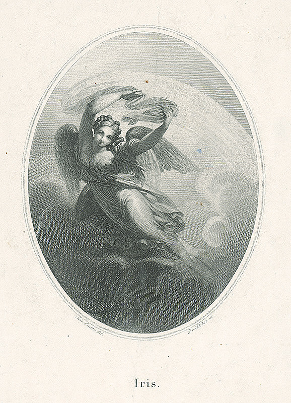 Franz Stöber, Johann Nepomuk Ender – Iris 