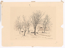 Alojz Klimo – Kavky 