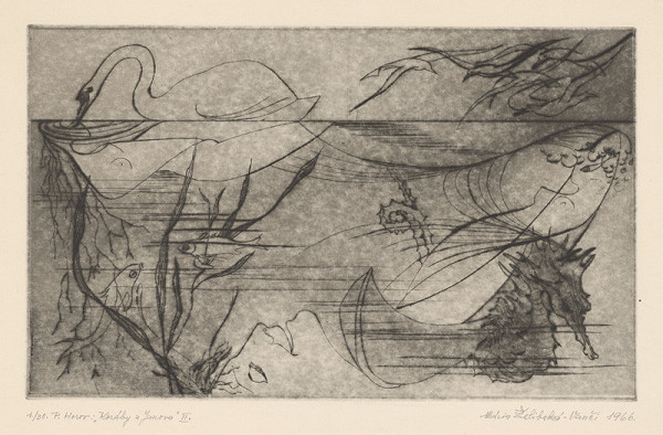 Mária Želibská – Koráby z Janova II. 