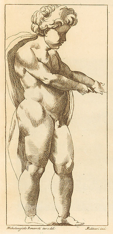 Stefano Mulinari, Michelangelo Buonarroti – Malý Ján Krstiteľ z tonda sochára Taddeiho - štúdia   