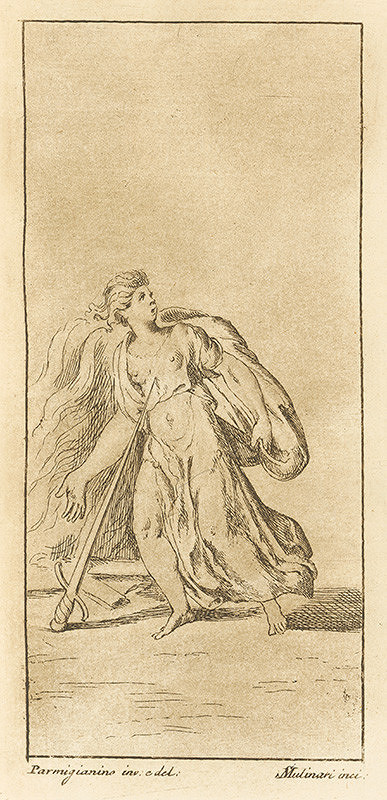 Stefano Mulinari, Parmigianino – Žena, ktorá sa vrhá na ostrie meča
