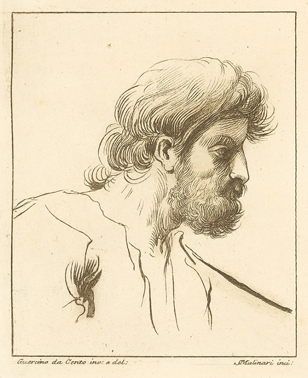Stefano Mulinari, Guercino – Hlava muža z profilu - štúdia