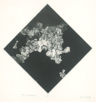 Albín Brunovský – Corso Imperatrice II. 