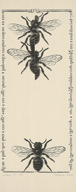 Jana Želibská – Bugs IV.