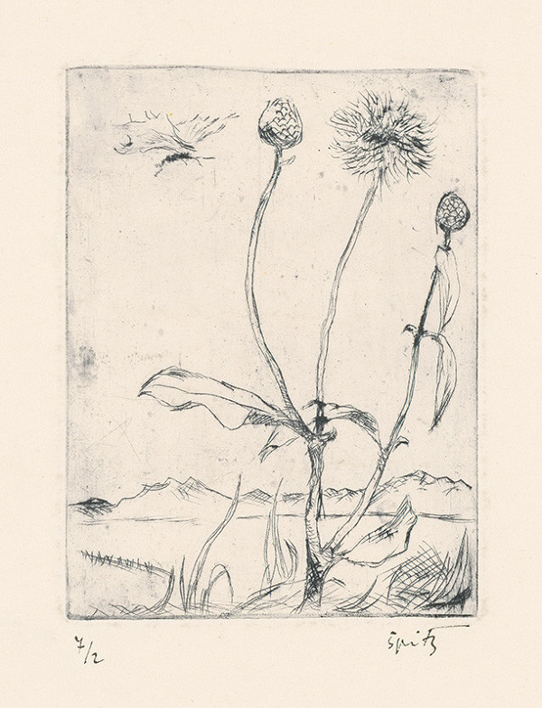 Ernest Špitz – Kvetiny