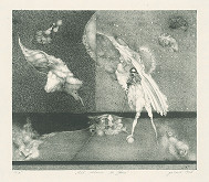 Vladimír Gažovič – Zlé videnie svätého Jána 