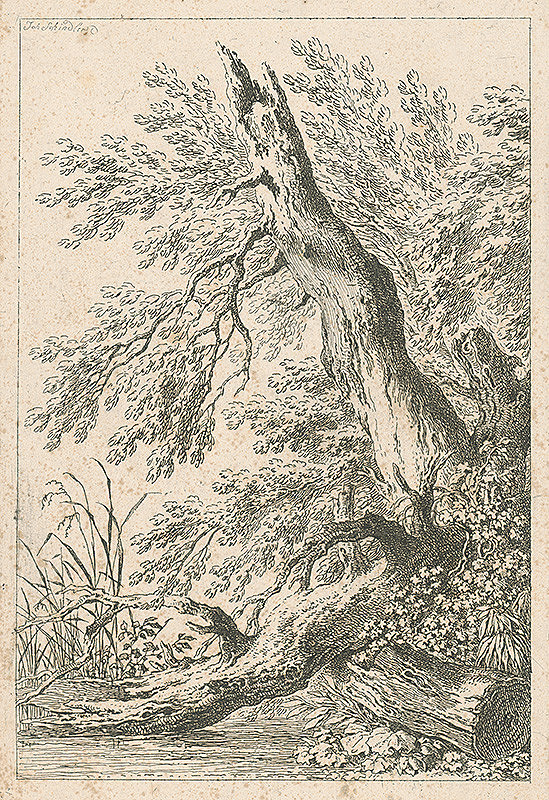 Johann Josef Schindler – Strom nad riekou 