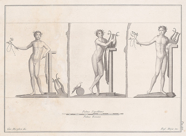 Giovanni Elia Morghen, Raffaello Alloja – Štúdie hermafroditov 