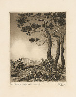 Jozef Kubas – Borovice 