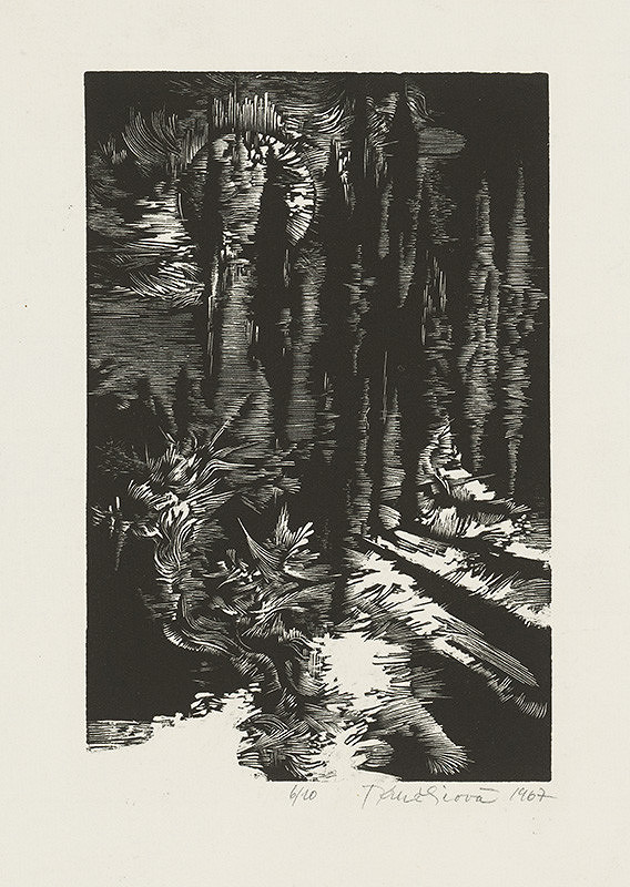 Terézia Kružlicová – Ivan Krasko: Nox et Solitudo 