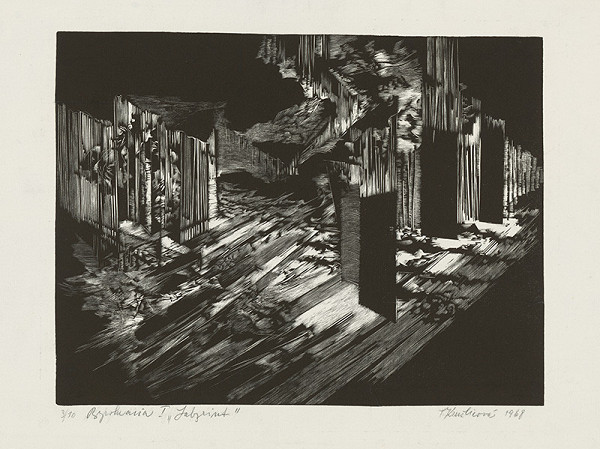 Terézia Kružlicová – Labyrint 