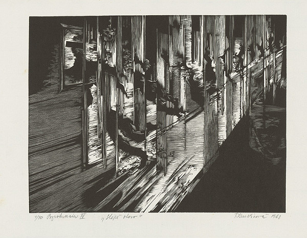 Terézia Kružlicová – Slepé slovo 