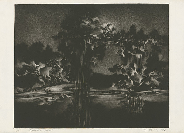 Terézia Kružlicová – Výhonok sv. Jána 