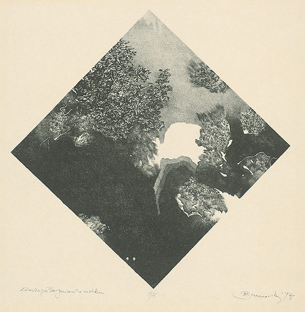 Albín Brunovský – Záhrada pre Borgonzoniho matku 