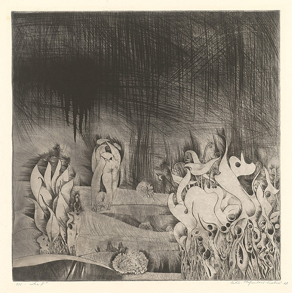 Alžbeta Štefunková-Szabová – Lúka II. 