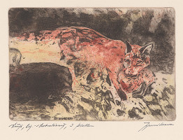 Johannes Brauer – Fuchs 