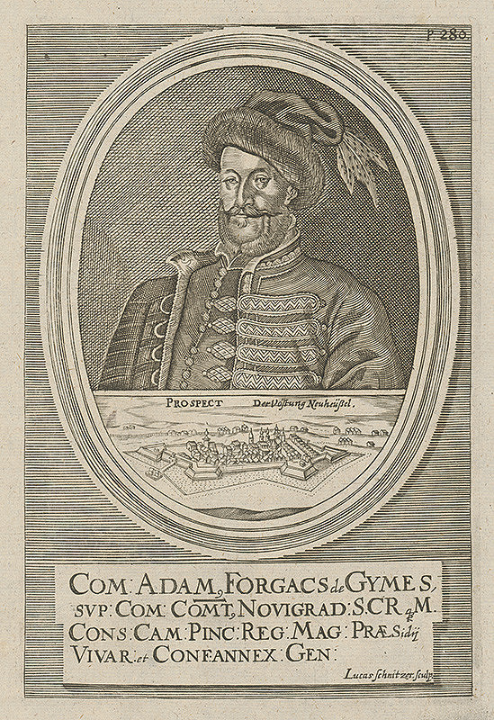 Lucas Schnitzer, Paul Fürst – Portrét 