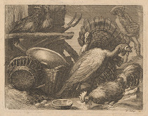 Pierre Gallays – Hydina 