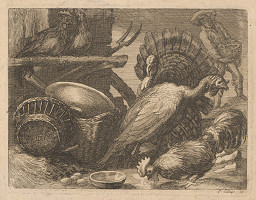 Pierre Gallays – Hydina 