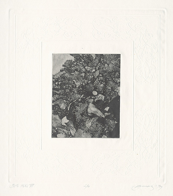 Albín Brunovský – List z cyklu Bella Italia VII.