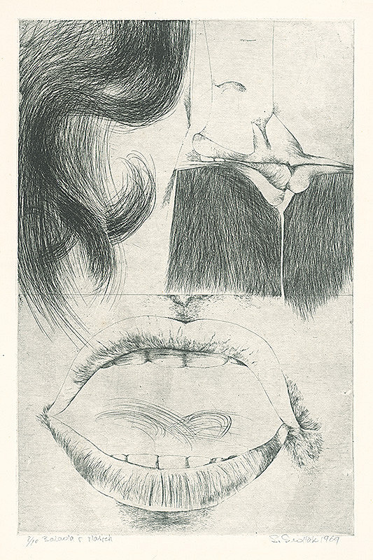 Emil Sedlák – Balada o vlasoch 