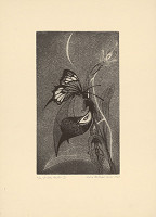 Mária Želibská – V dobe kvetov I. 