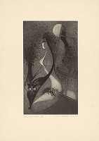 Mária Želibská – V dobe kvetov VII. 