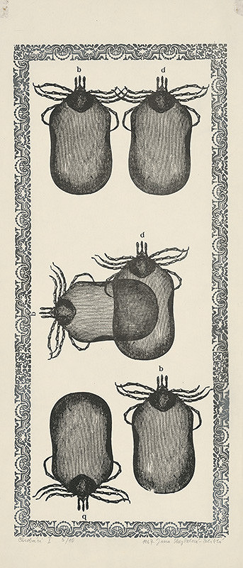 Jana Želibská – Bugs I.  