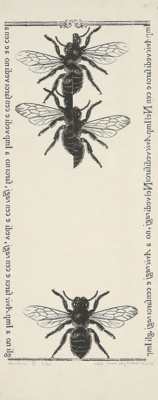 Jana Želibská – Bugs III.