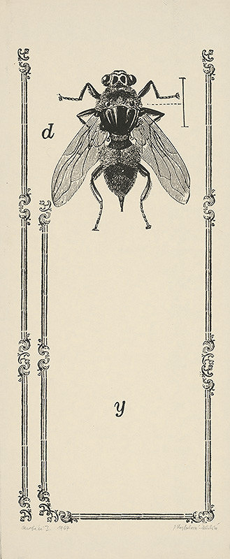 Jana Želibská – Bugs II.