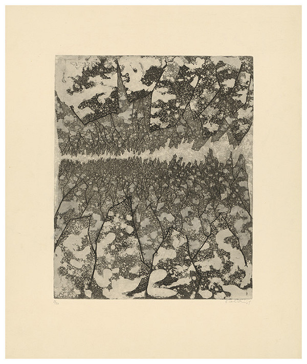 Jarmila Pavlíčková – Cesta 