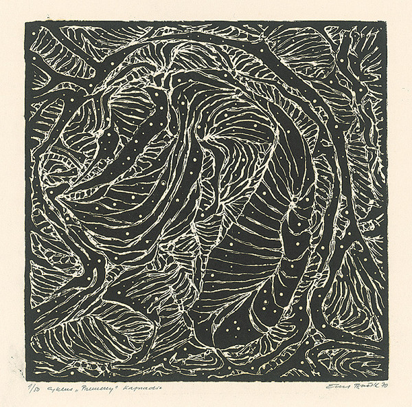 Emil Bačík – Kapradie 