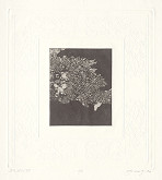 Albín Brunovský – Bella Italia XV. 