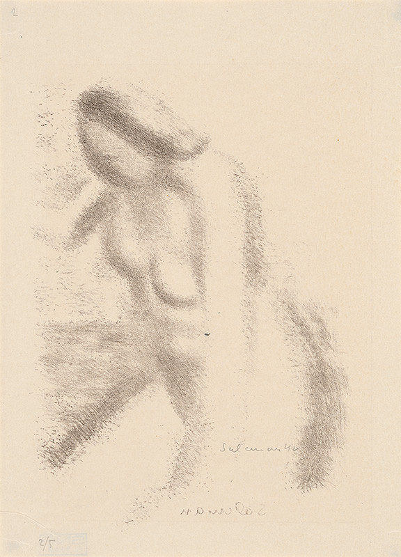 Martin Salcman – Ženský akt 