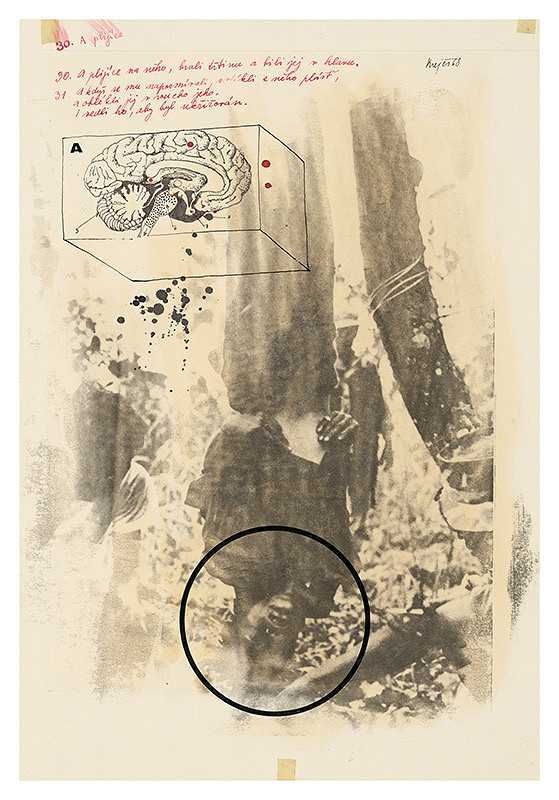 Jan Krejčí – A plijíce na něho, brali třtinu a bili jej v hlavu..... 