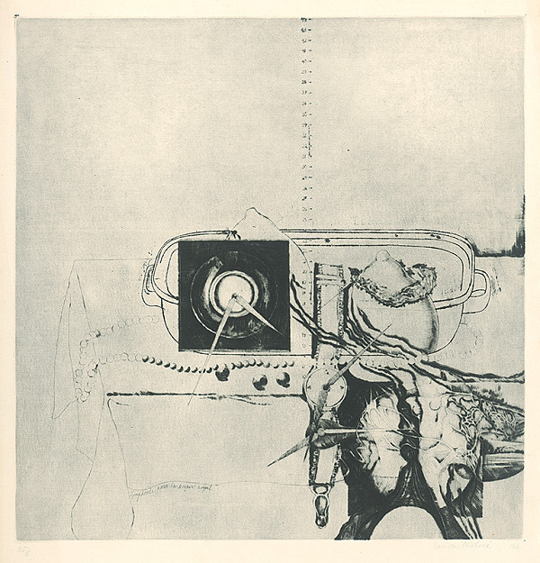 Naděžda Plíšková – Symfónia pre kráľovskú večeru 