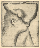 Miloš Ševčík – Hlava 