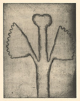 Miloš Ševčík – Rastlina 