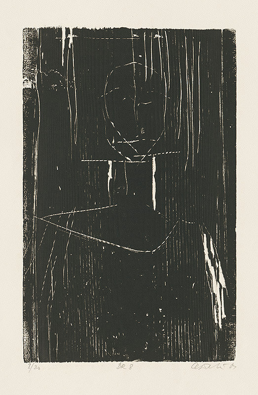 Andrej Doboš – DR 8 