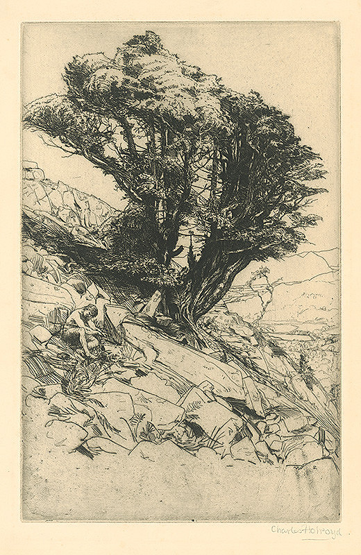 Charles Holroyd – Na skale 