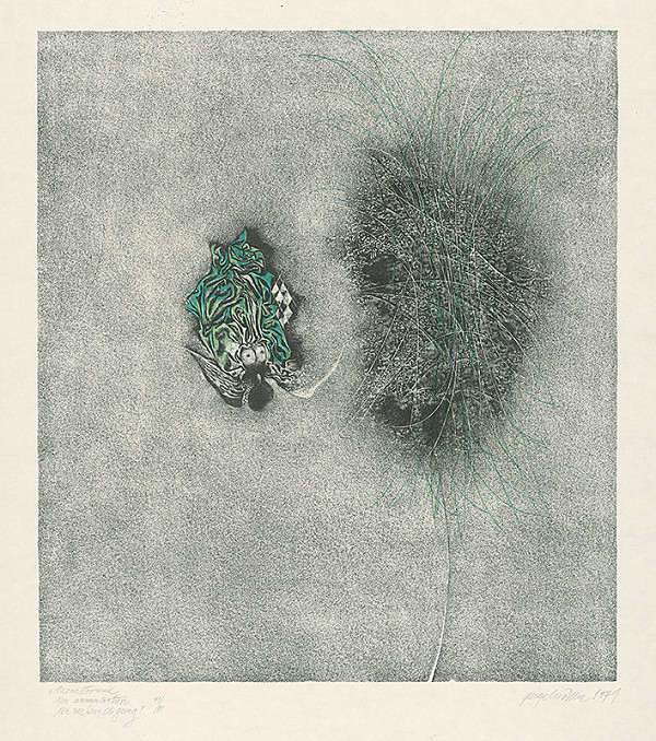 Viera Gergeľová – Nezvestovanie 