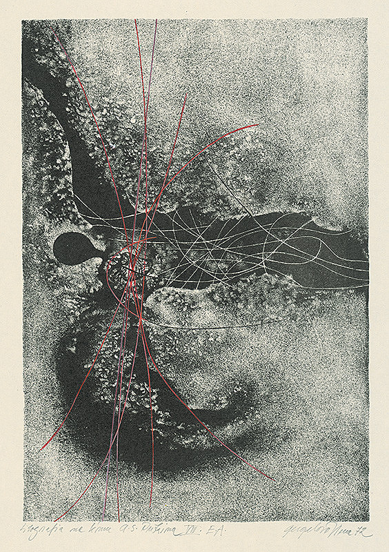 Viera Gergeľová – Litografia na tému A.S.Puškina 8. 