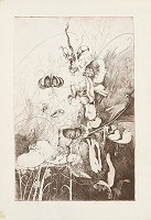 Alžbeta Štefunková-Szabová – Kvitli kvety 