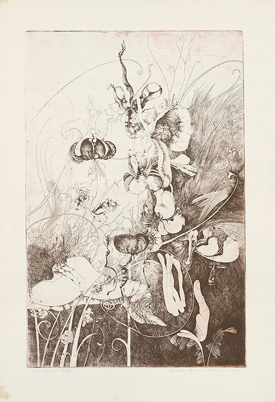 Alžbeta Štefunková-Szabová – Kvitli kvety 