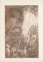 Alžbeta Štefunková-Szabová – Zvečera 